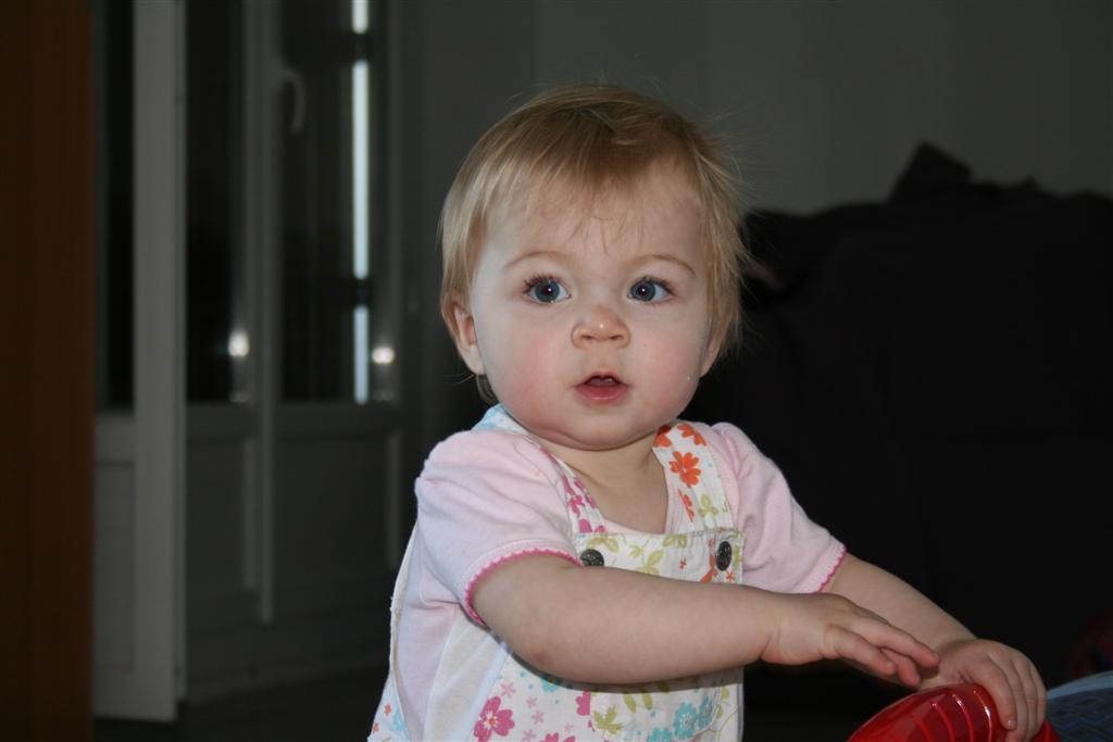 [IMG_2145 (Large)[2].jpg]
