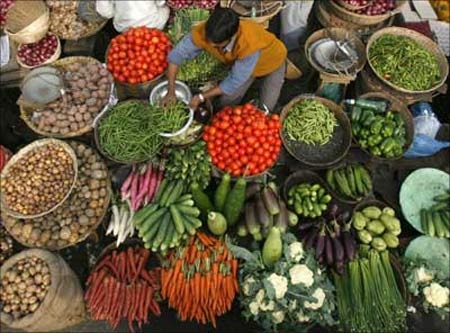 [indian-vegetables[1].jpg]