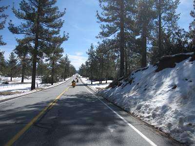 palms to pines highway through gardner valley