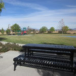 Marsden Community Park Bench
