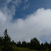 P1000918.JPG