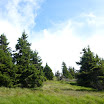 P1000920.JPG