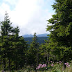 P1000919.JPG