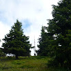 P1000921.JPG