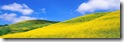 Desktop Widescreen Wallpaper 21