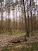 P4111981.JPG