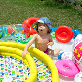 Ains in the backyard