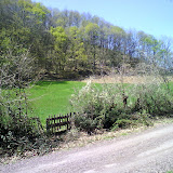 DSC00562.JPG