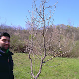 IMAG0021.jpg