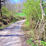 DSC_4583.JPG