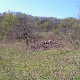 IMAG0041.jpg