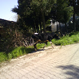DSC00581.JPG