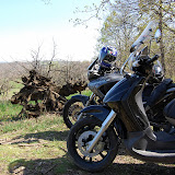 DSC_4626.JPG
