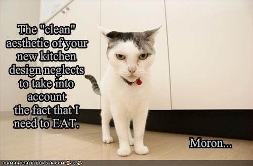 [funnypicturesyourcatdisapprovesofyou.jpg]