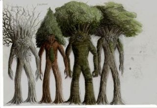 [walking-trees[4].jpg]