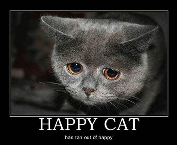 [Happy_Cat[4].jpg]