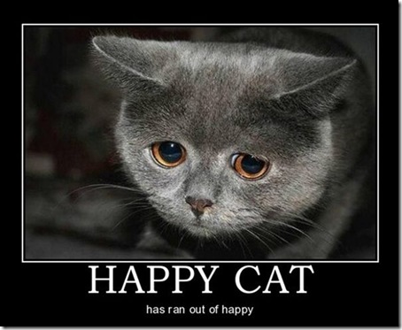 Happy_Cat
