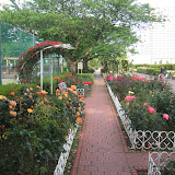 A rose garden in the park at the Shibuara Water Reclamation Center