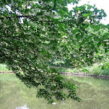 The grounds at the Tokyo Institute for Nature Study