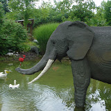 An elephant in the Safari Tour