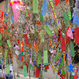 For the tanabata matsuri, people write their wishes on colored paper and hang them on the bamboo trees For the tanabata matsuri, people write their wishes on colored paper and hang them on the bamboo trees