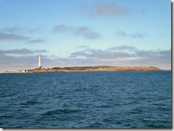 Image3 Image3