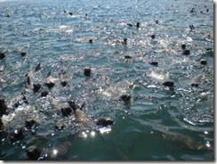 Image8 Image8