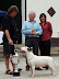 Flashpoint Inferno Pajar Best In Show