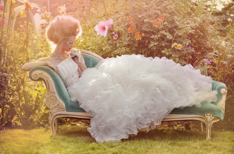 [brides_Dec2010_8[6].jpg]