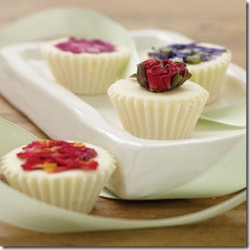 bath melts bath melts