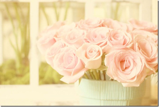 pink roses