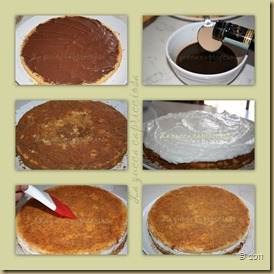 torta torta