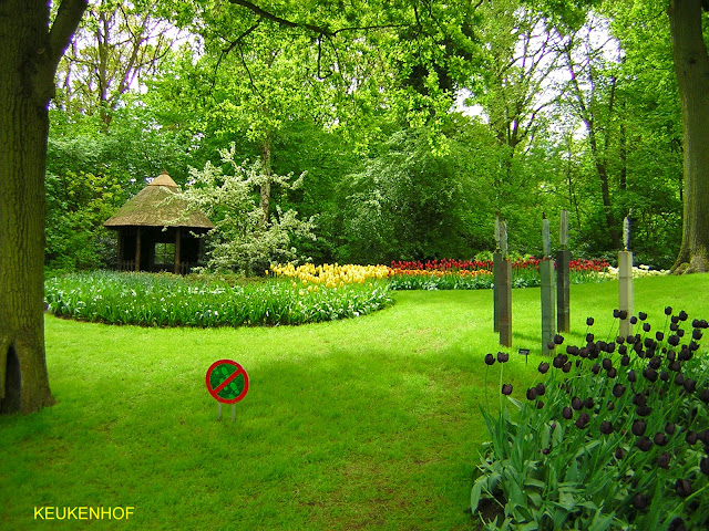 Keukenhof, uno dei giardini primaverili più estesi al mondo