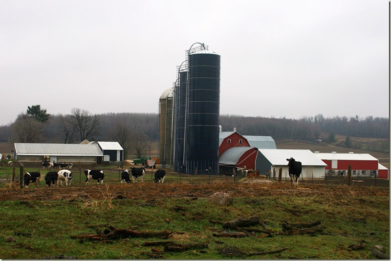 Farm from the North