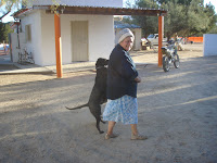 PA110040.JPG