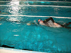 Triathlon 20Testival 20015 in Triathlon Testival 2009