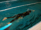 Triathlon 20Testival 20023 in Triathlon Testival 2009