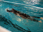 Triathlon 20Testival 20027 in Triathlon Testival 2009