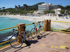 100 0090 in Trainingslager Mallorca 2009