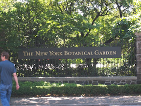 Tuesdays with TT: BONUS: The Edible Garden @ NYBG