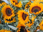 I couldn't leave empty handed, so I bought a bouquet of sunflowers to brighten up the crafts dept.