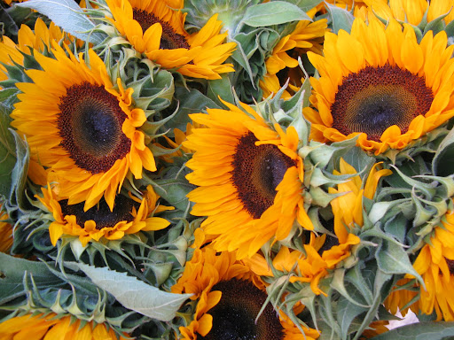 I couldn't leave empty handed, so I bought a bouquet of sunflowers to brighten up the crafts dept.