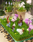 Wheat grass table runner/centerpiece