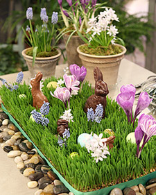 Wheat grass table runner/centerpiece