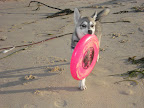 Jada's first trip to the beach was at around 5 months.