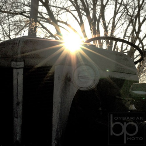 [Sunflare 1[2].jpg]