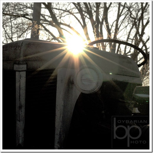 Sunflare 1