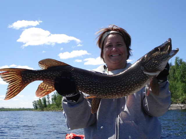 [DSC04431[5].jpg]
