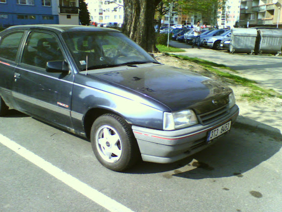 Obrázek