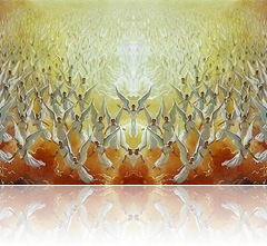 2831895434_3bcd9722e5